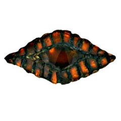 Line Vautrin Surreal Eye Brooch 10