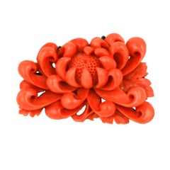 Carved Coral Crysanthemum Brooch