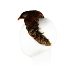 Antique Victorian Taxidermy Hawk Headpiece