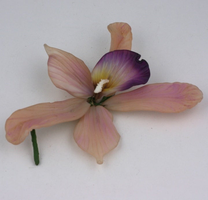 Hand made glass specimen orchid brooch is a superb realistic rendering in the tradition of Dresden glassmakers Leopold Blaschka (1822-1895) and his son Rudolf (1857-1939). Floral studies such as these provide insight into the intellectual appetite