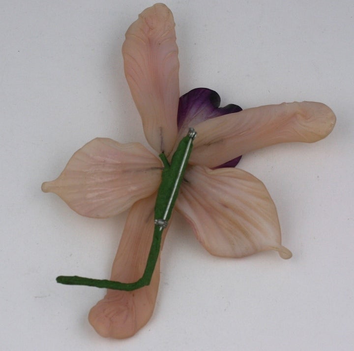 Art Nouveau Rare Specimen Glass Orchid Brooch