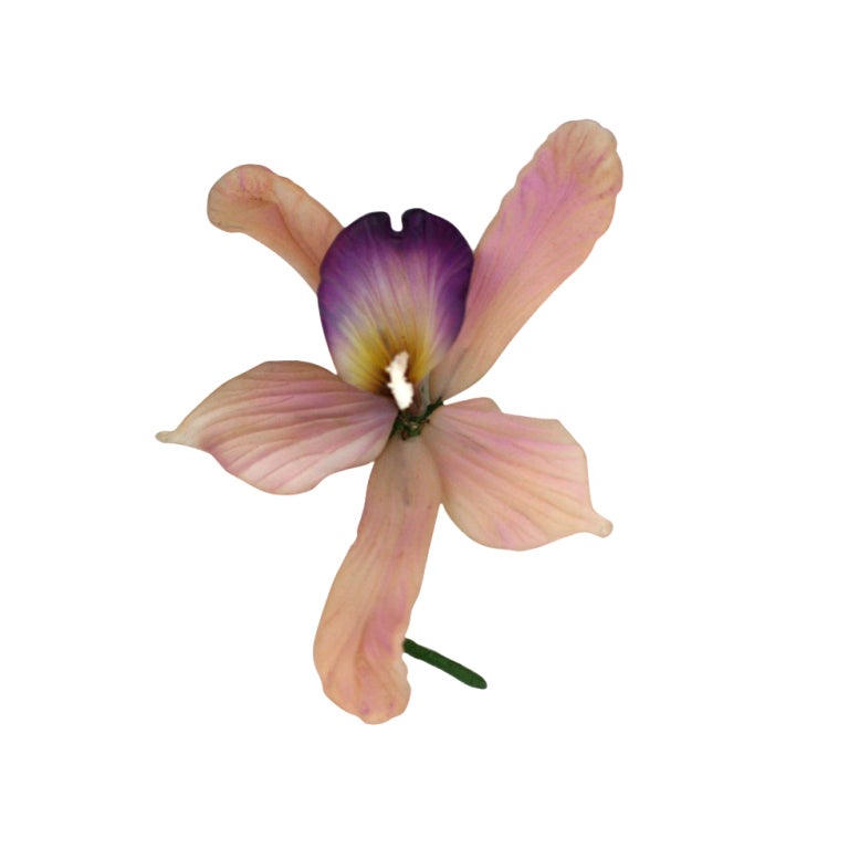Rare Specimen Glass Orchid Brooch
