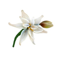 Speciman Water Lily Brooch