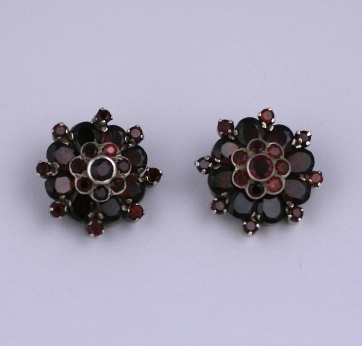 Women's Garnet Flower Cluster Earrings