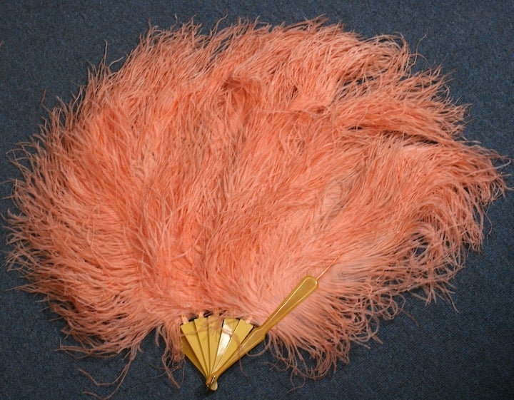 Amazing Art Deco French fan with long, luxurious peach ostrich plumes. 1930s France with celluloid stays. Large in scale 30