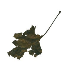 Massive Cire Perdue Bronze Leaf, John Iverson