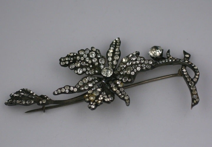 Extraordinary 19th Century Paste Spray in the Naturalist Style