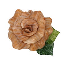 Fabrice Apricot Resin Camellia 12