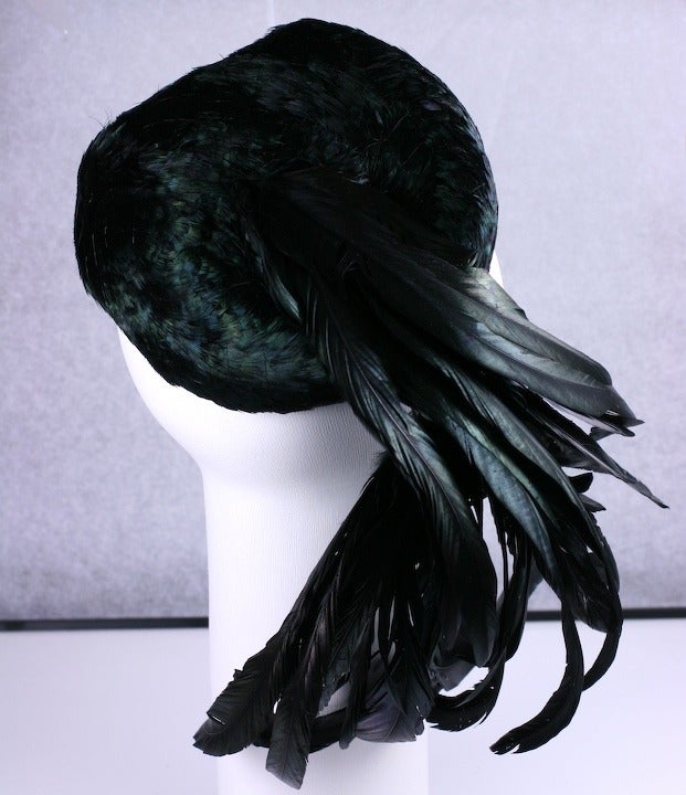 Women's Lilly Dache Black Cocktail Hat