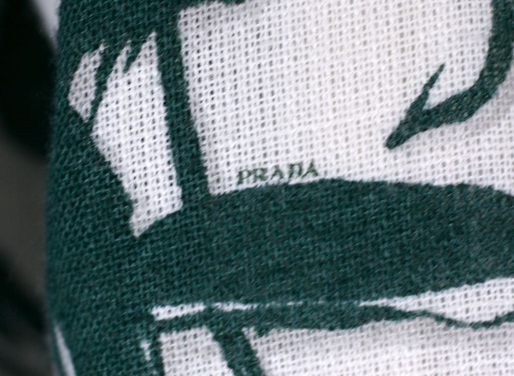 Summer Prada Carnation Shadow Print Jacket 2