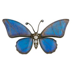Antique Victorian Butterfly Wing Brooch