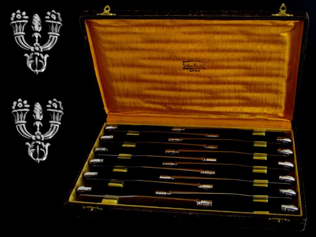 THIERS French Silver & Ebony Dinner Knife Set 12 pc box Stainless Blades Cornucopia