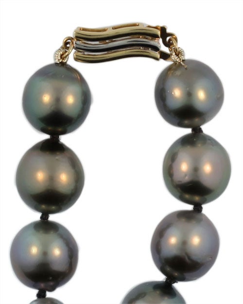 Black Tahitian South Sea Pearl Necklace
