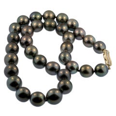 Black Tahitian South Sea Pearl Necklace