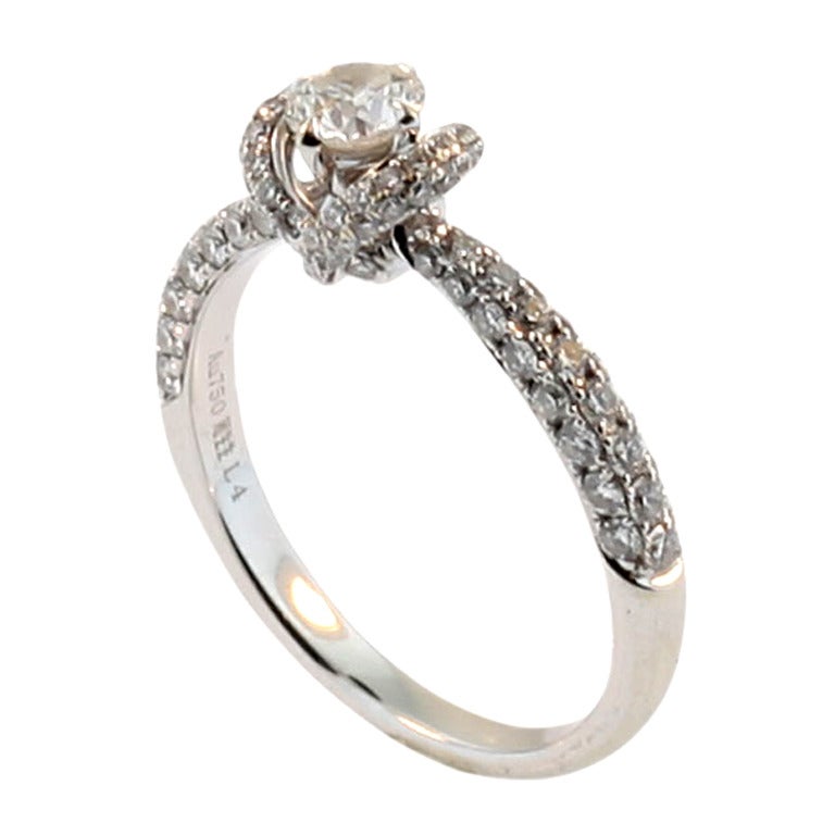 F Colour Diamond Encrusted Engagement Ring at 1stdibs