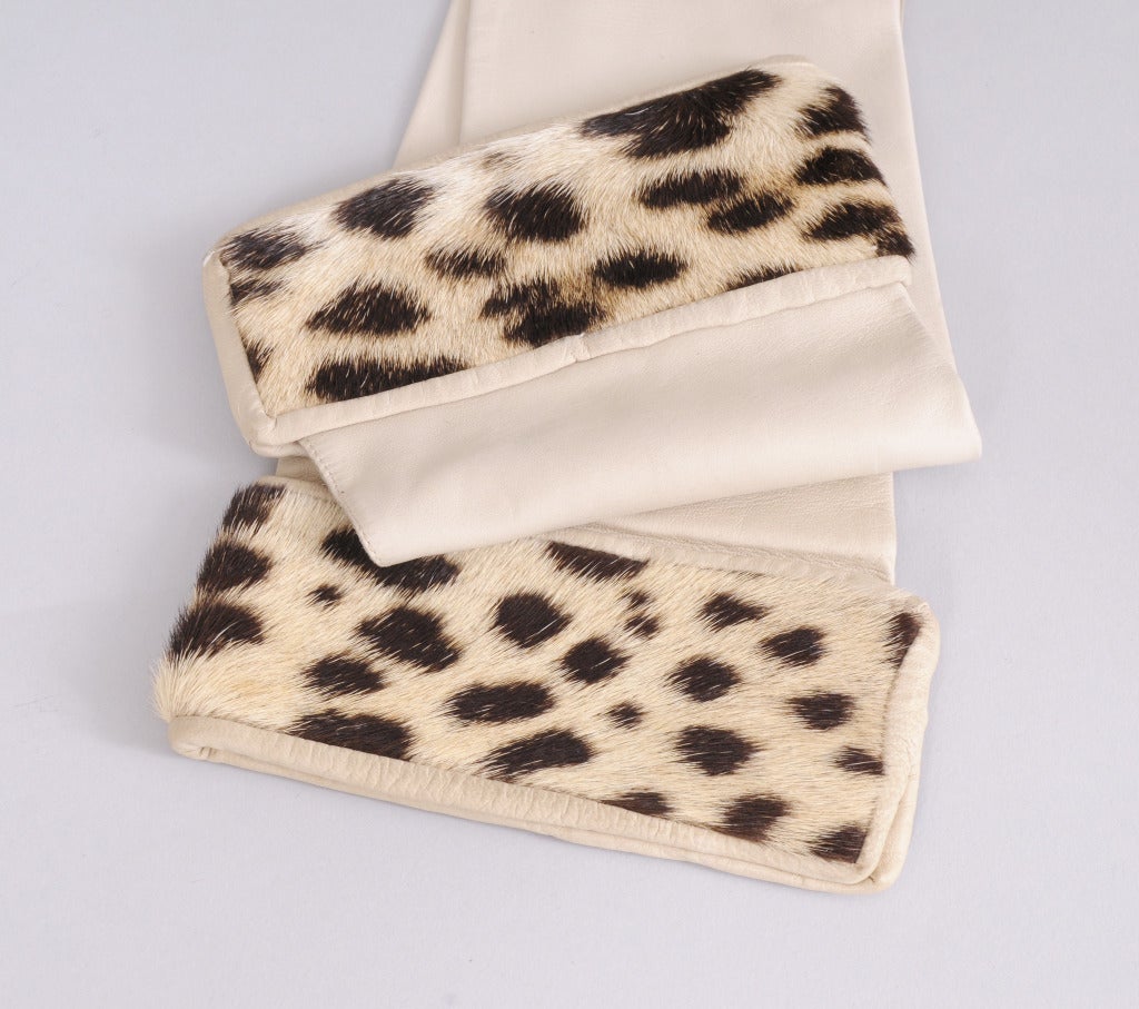 Bone hidskin gloves are trimmed with an elegant spotted calf cuff. Made by Kay Gloves, 