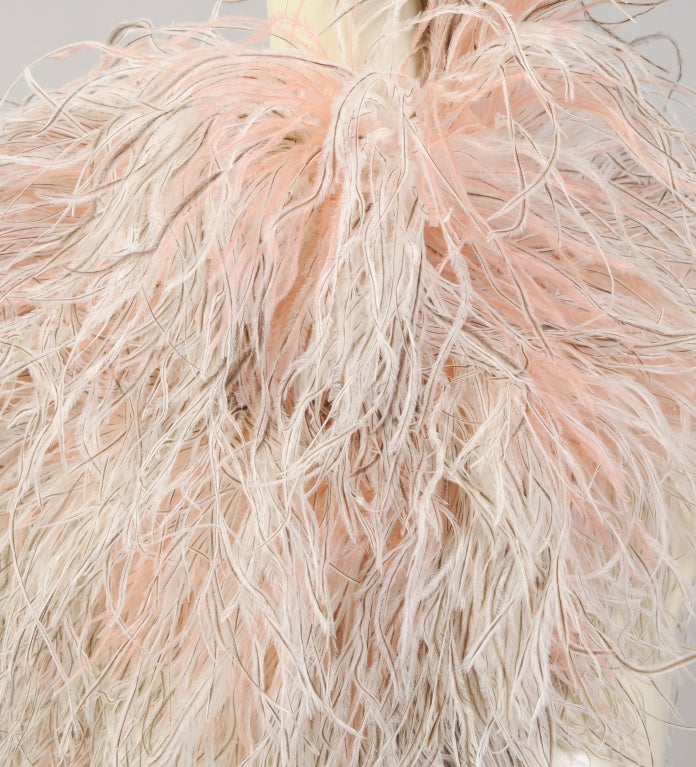 Ostrich Feather Wrap 3