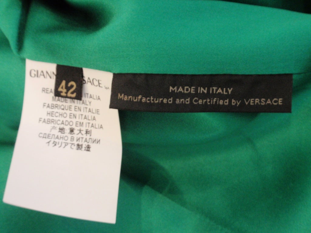 Versace Emerald Mink Coat 4