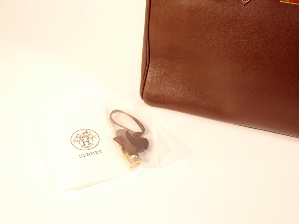 Hermes Brown Leather Birkin Bag, Gold Clasp, 2 Handles, 35 cm 6