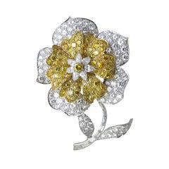 Van Cleef & Arpels  Natural Yellow & White Diamond Flower Brooch