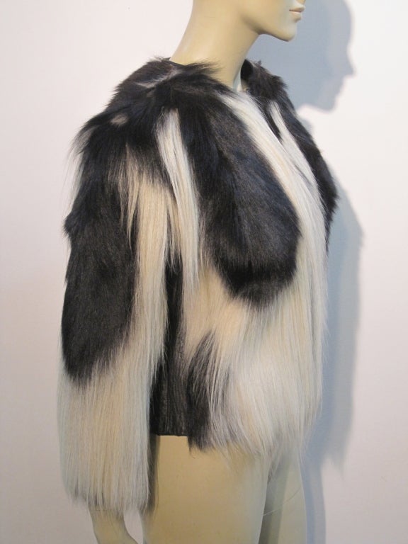 colobus monkey coat