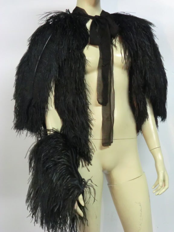 30s Ostrich Plume Capelet and Muff