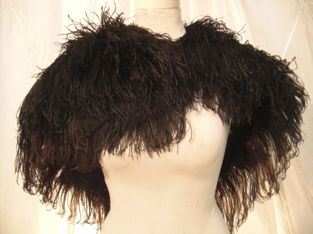 A gorgeous 1930s black ostrich feather caplet with tulle foundation--as light as air.