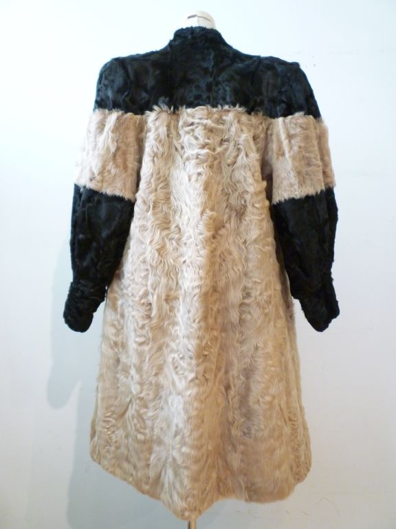 Brown 40s Color-Blocked Broadtail Curly Lamb Coat in Black and Beige