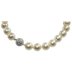 South Sea Cultured Pearl Single-Strand Necklace