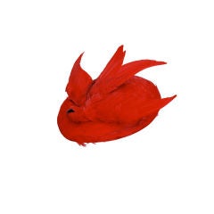 Red Cardinal Feather Hat