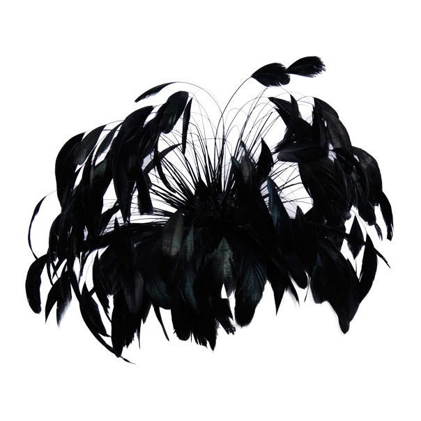 Rooster Plume Hair Piece For Sale