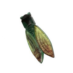 Vintage Celluloid Scarab Beetle Brooch Pin
