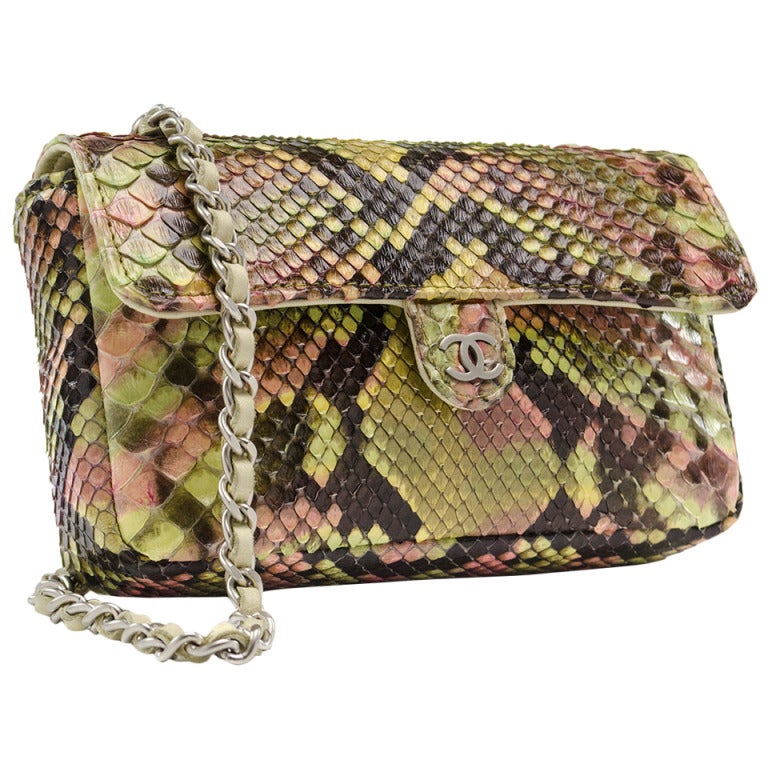 Chanel Python Mini Flap Coin Purse