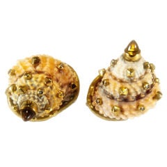 Wonderful Shell Earrings