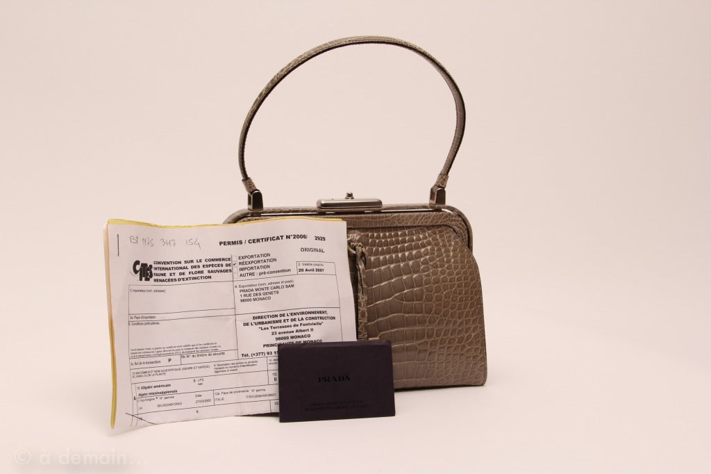 Marvelous and rare handle bag by Prada, alligator crocodile skin, very delicate grey. Delivered with authenticity certificate and dated card. Cites certificate 2006.
This bag is in perfect condition.