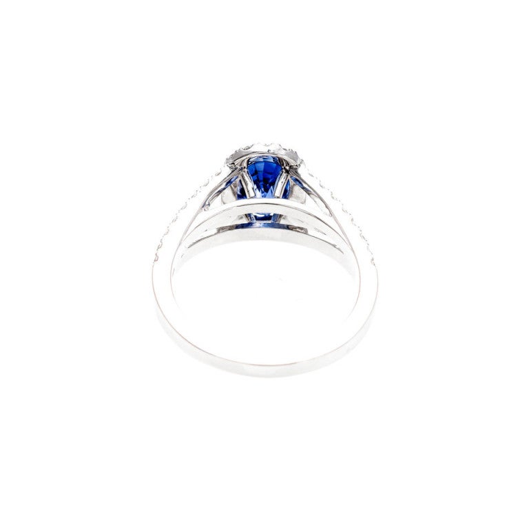 Peter Suchy Oval Sapphire Diamond Gold Split Shank Halo Engagement Ring In Good Condition In Stamford, CT