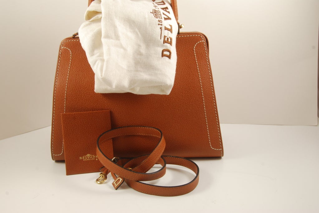 Delvaux  Purse/Shoulder Bag 6
