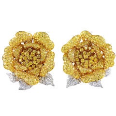 Fancy Natural Yellow Diamonds en Tremblant Rose Earclips