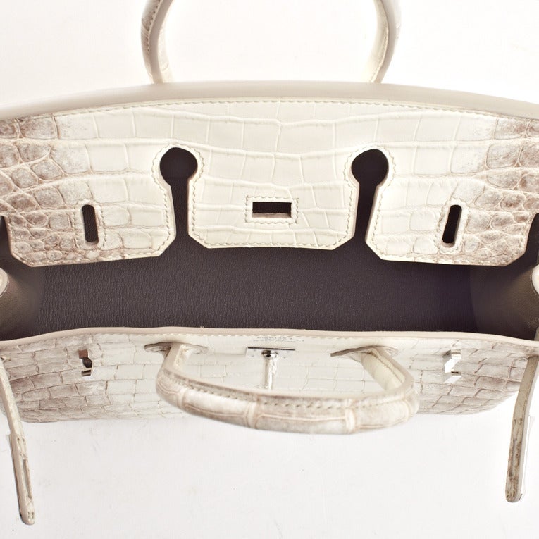 Hermes Himalayan Matte Niloticus Crocodile Birkin 25cm Palladium Hardware 3
