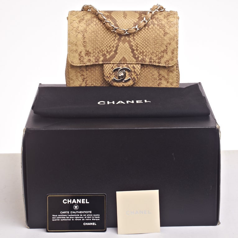 Chanel Natural Python Mini Classic Shoulder/Crossbody Flap Bag 6