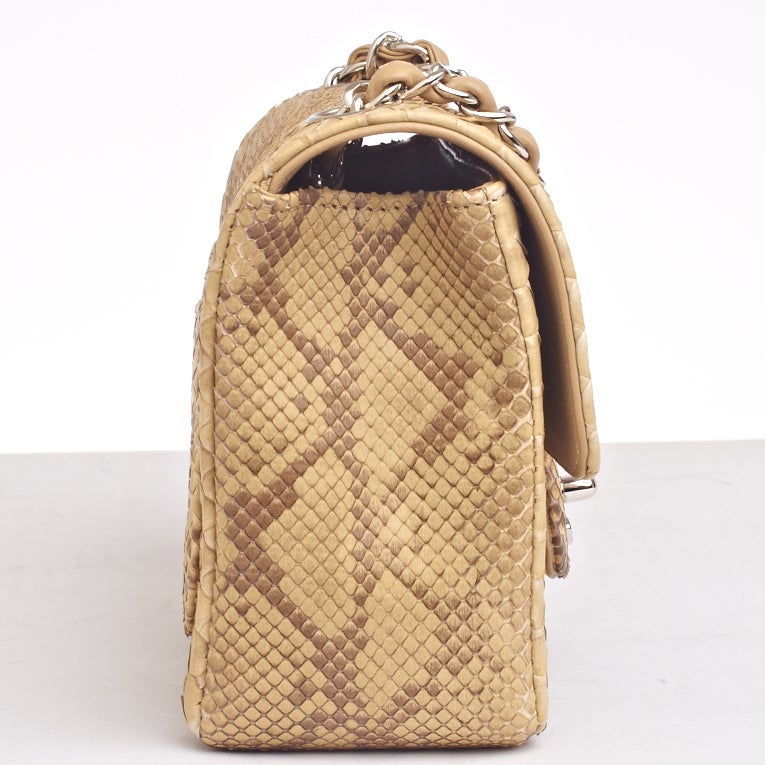 Women's Chanel Natural Python Mini Classic Shoulder/Crossbody Flap Bag