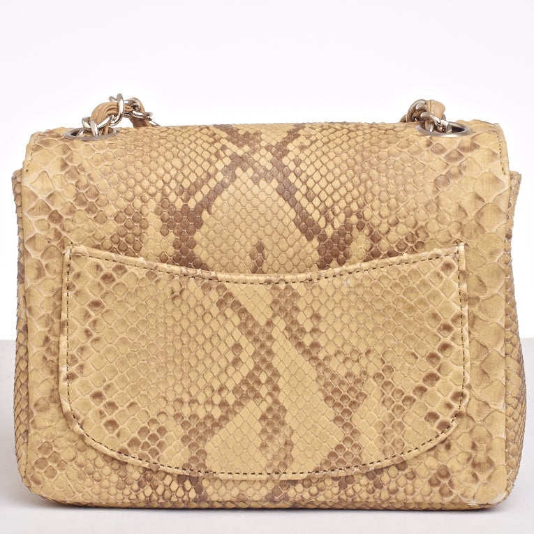 Chanel Natural Python Mini Classic Shoulder/Crossbody Flap Bag 1