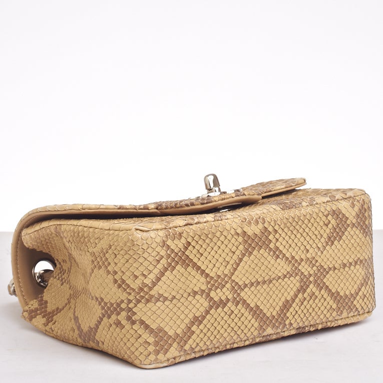 Chanel Natural Python Mini Classic Shoulder/Crossbody Flap Bag 2
