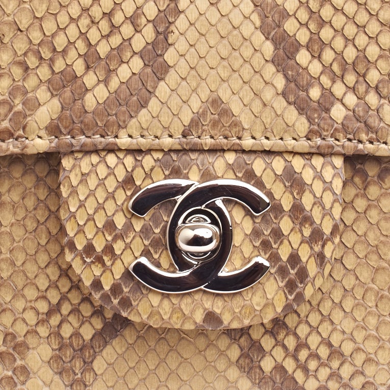 Chanel Natural Python Mini Classic Shoulder/Crossbody Flap Bag 3