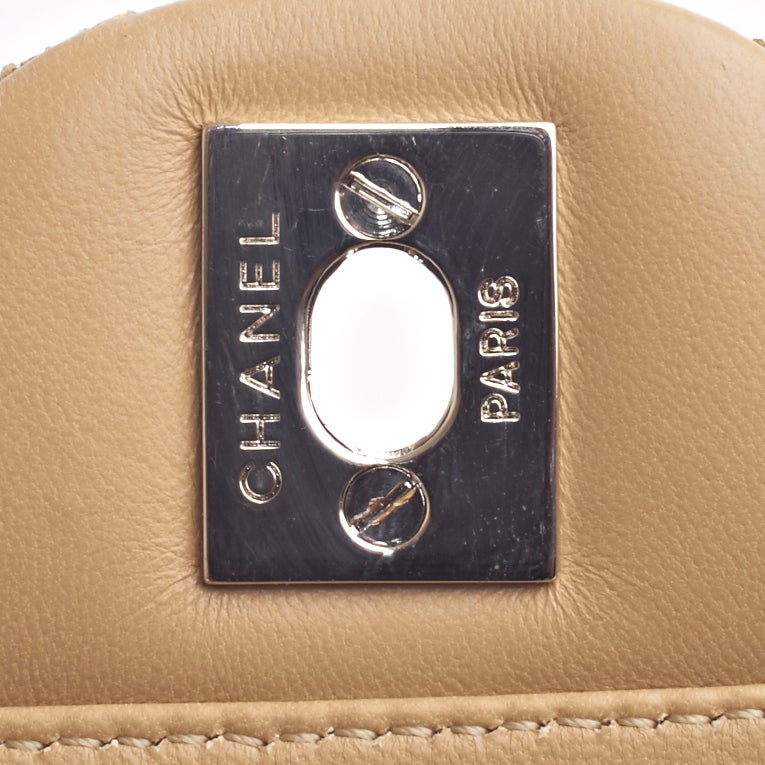 Chanel Natural Python Mini Classic Shoulder/Crossbody Flap Bag 4