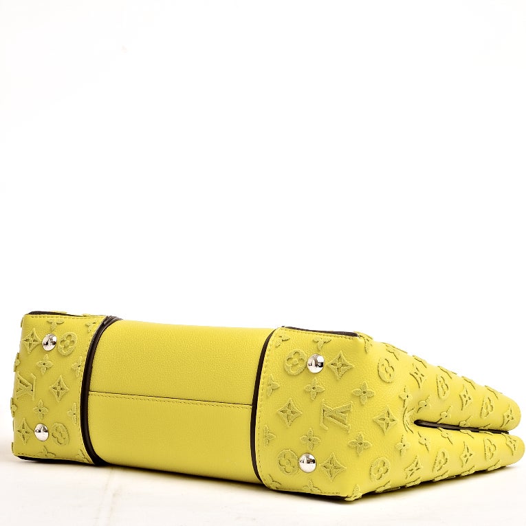 Louis Vuitton Pistache Monogram Veau Cachemire W PM 2