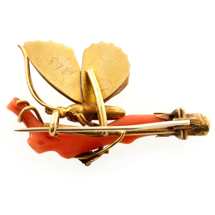 Victorian Coral Gold Butterfly Brooch For Sale