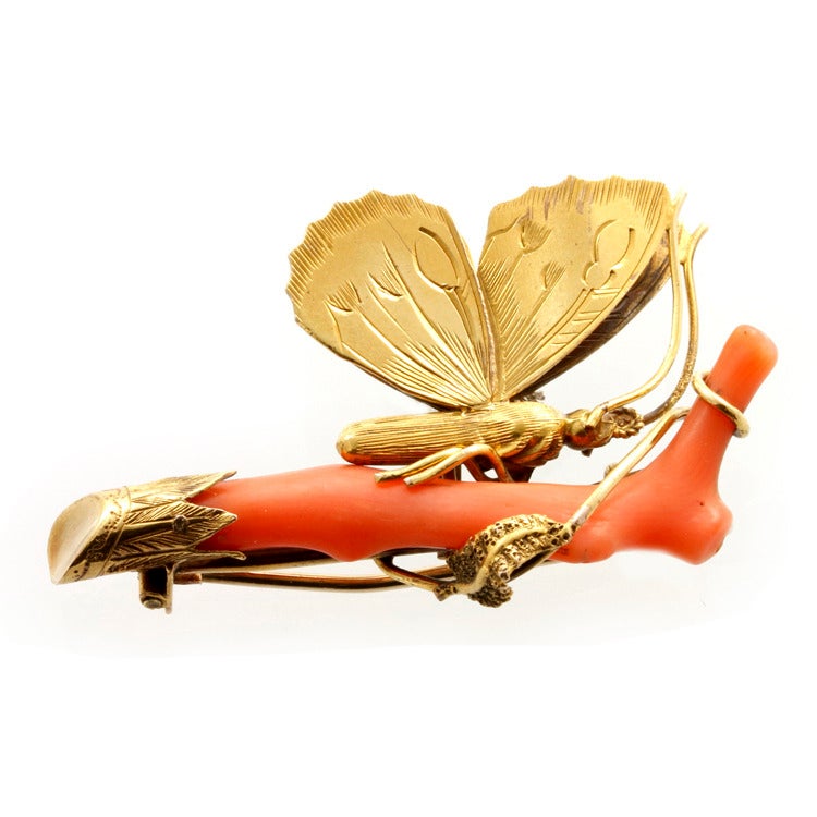 Uncut Coral Gold Butterfly Brooch For Sale