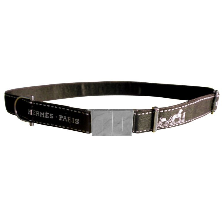 Hermes Silk Bolduc Pet Collar with Silver Hardware in Hermes Box at