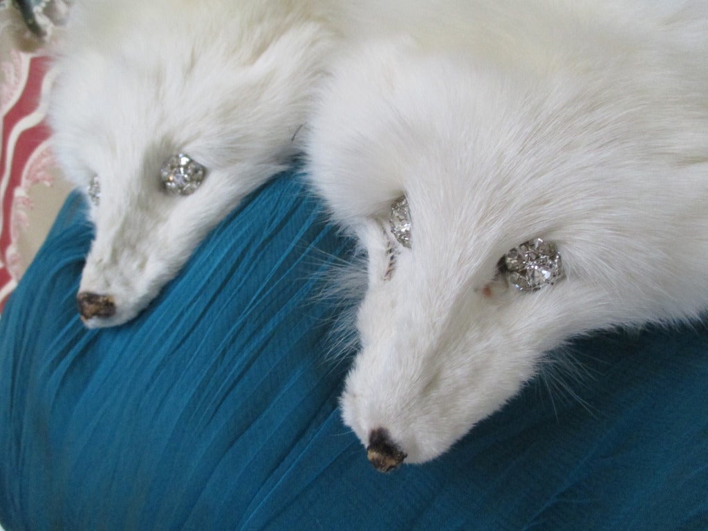 Christian Dior Haute Couture Pair of Arctic Fox Wraps 1